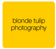 blonde tulip